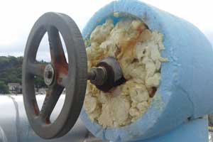 Ammonia Angle Valve